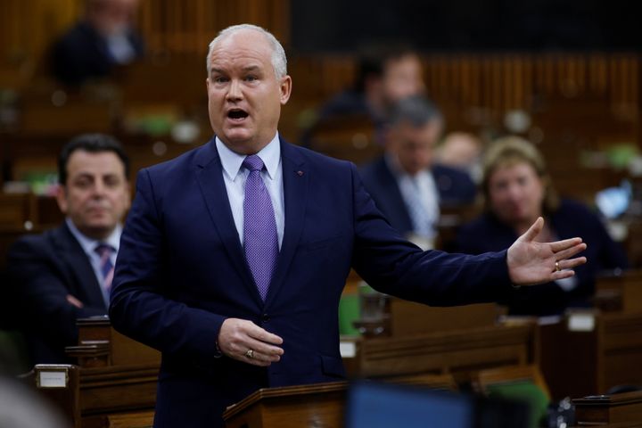 Conservative Party Leader Erin O'Toole responds to the government's fiscal update, the Fall Economic Statement 2020, in the House of Commons on Nov. 30, 2020.