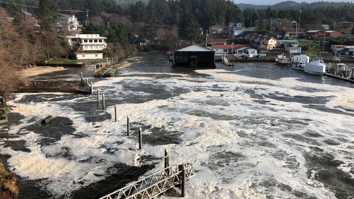 Τον Ιανουάριο μια ασυνήθιστα υψηλή παλίρροια προκάλεσε πλυμμήρες στον Κόλπο Ντιπόι