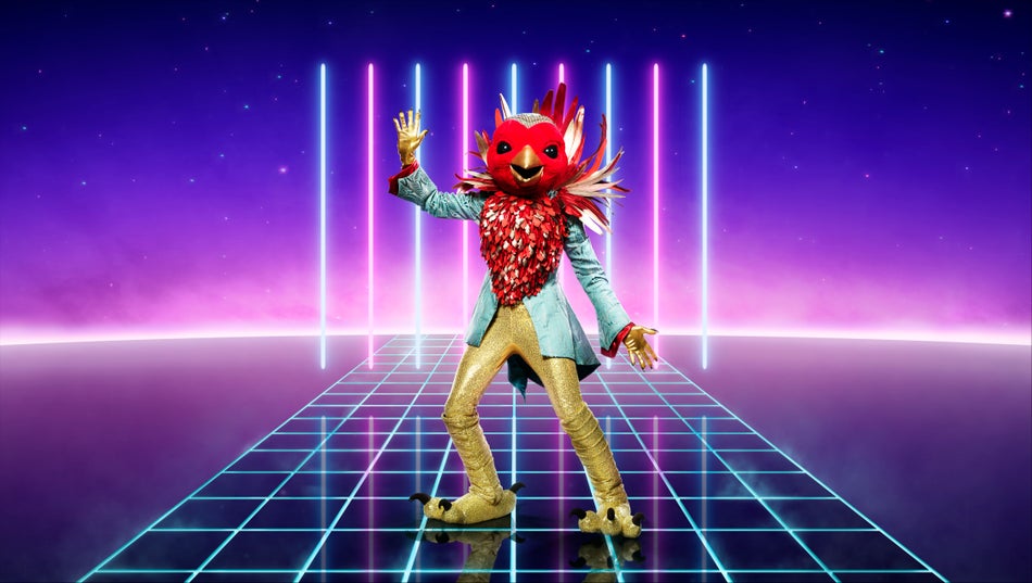 RobinITV says: "This rockin’ Robin will be hoping to deliver tweet harmonies and show that he’s not just for Christmas but planning to go the distance."