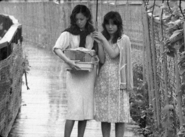 1980年に発表された矢崎仁司監督のデビュー作「風たちの午後」。女性同士の恋愛を描いた。2019年3月にデジタルリマスター版が劇場公開された。