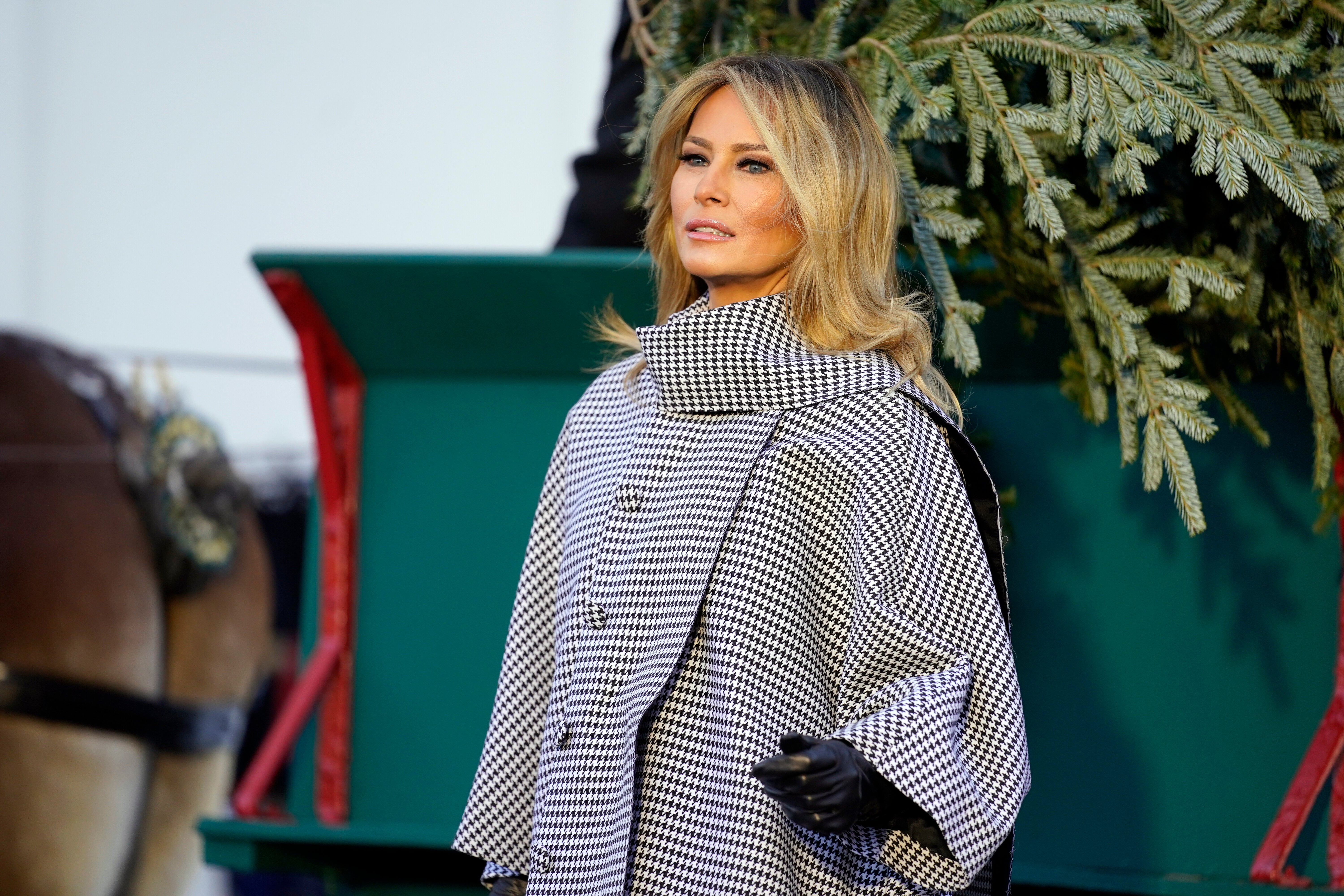 Twitter Users Have Some Mocking Title Ideas For Melania Trump’s Reported Memoir