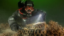 Divers Discover Rare Nazi World War II Enigma Machine Divers Discover Rare Nazi World War II Enigma Machine