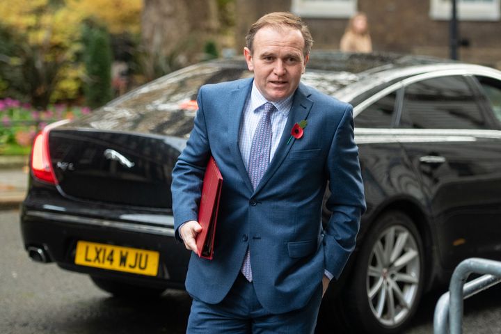 Environment Secretary George Eustice in Downing Street 
