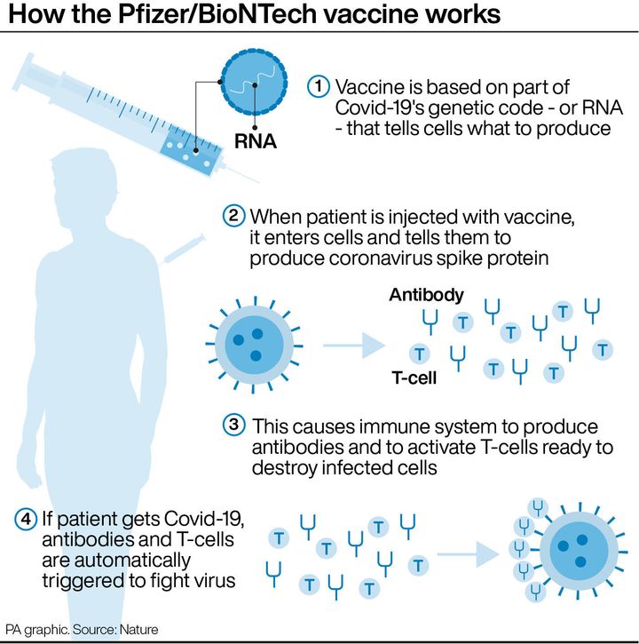 How the Pfizer/BioNTech vaccine works. Infographic PA Graphics.
