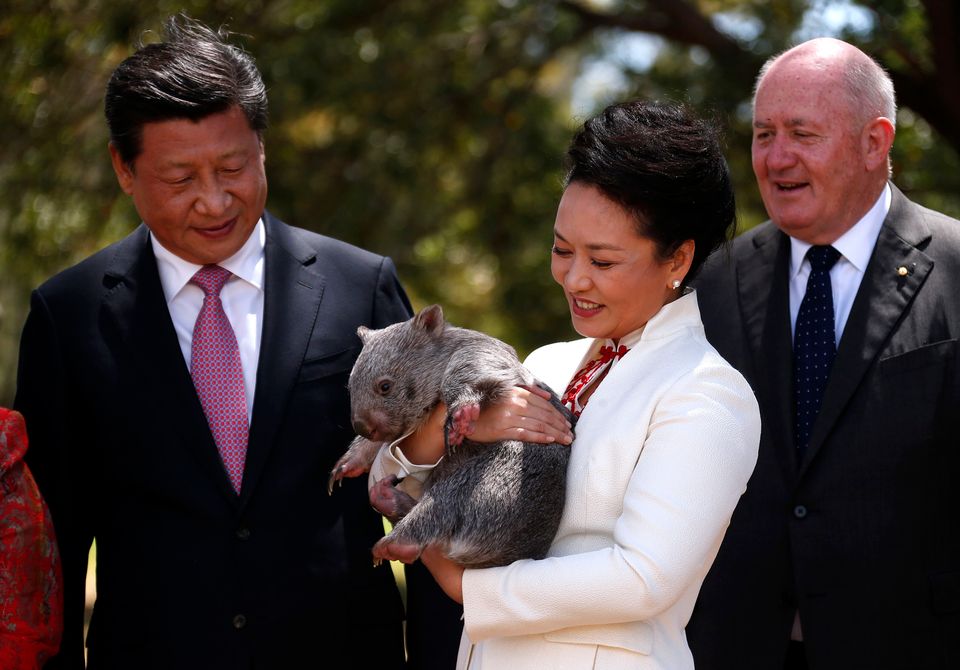 (자료사진) 캔버라, 호주. 2014년 11월17일 - 호주를 방문한 시진핑 중국 국가주석과 아내 펑리위안 여사의