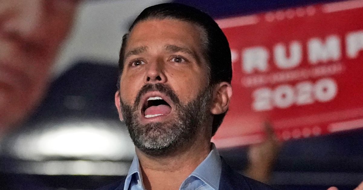 Donald Trump Jr’s Wail About ‘tyranny’ Gets Flipped Back On Him 