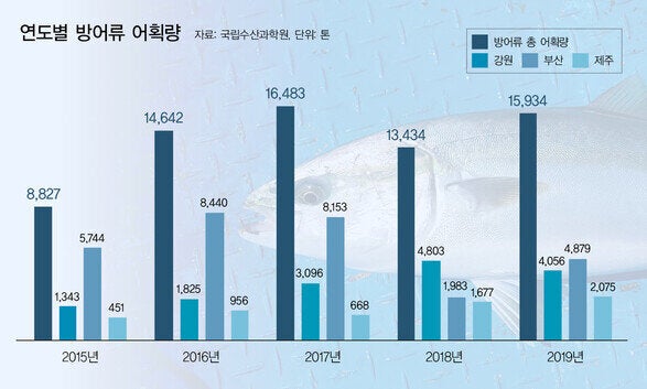 연도별 방어류 어획량