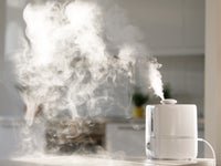 スチーム式加湿器のおすすめ11選 21 静音 小型な製品も ハフポスト Life スチーム式加湿器のおすすめ11選 21 静音 小型な製品も ハフポスト Life