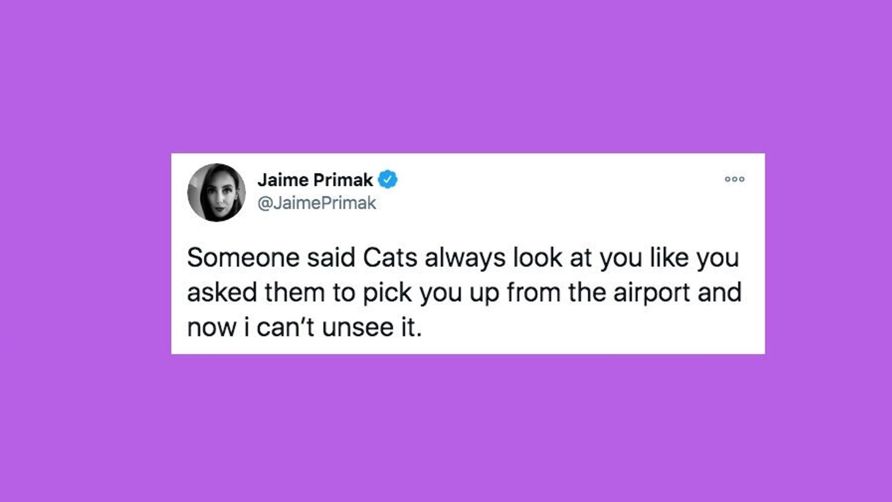 28 Of The Funniest Tweets About Cats And Dogs This Week (Dec. 5-11) | HuffPost Australia Comedy