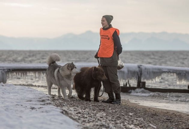 子グマと犬が仲良く格闘技 自然に戻るための訓練が微笑ましい ハフポスト
