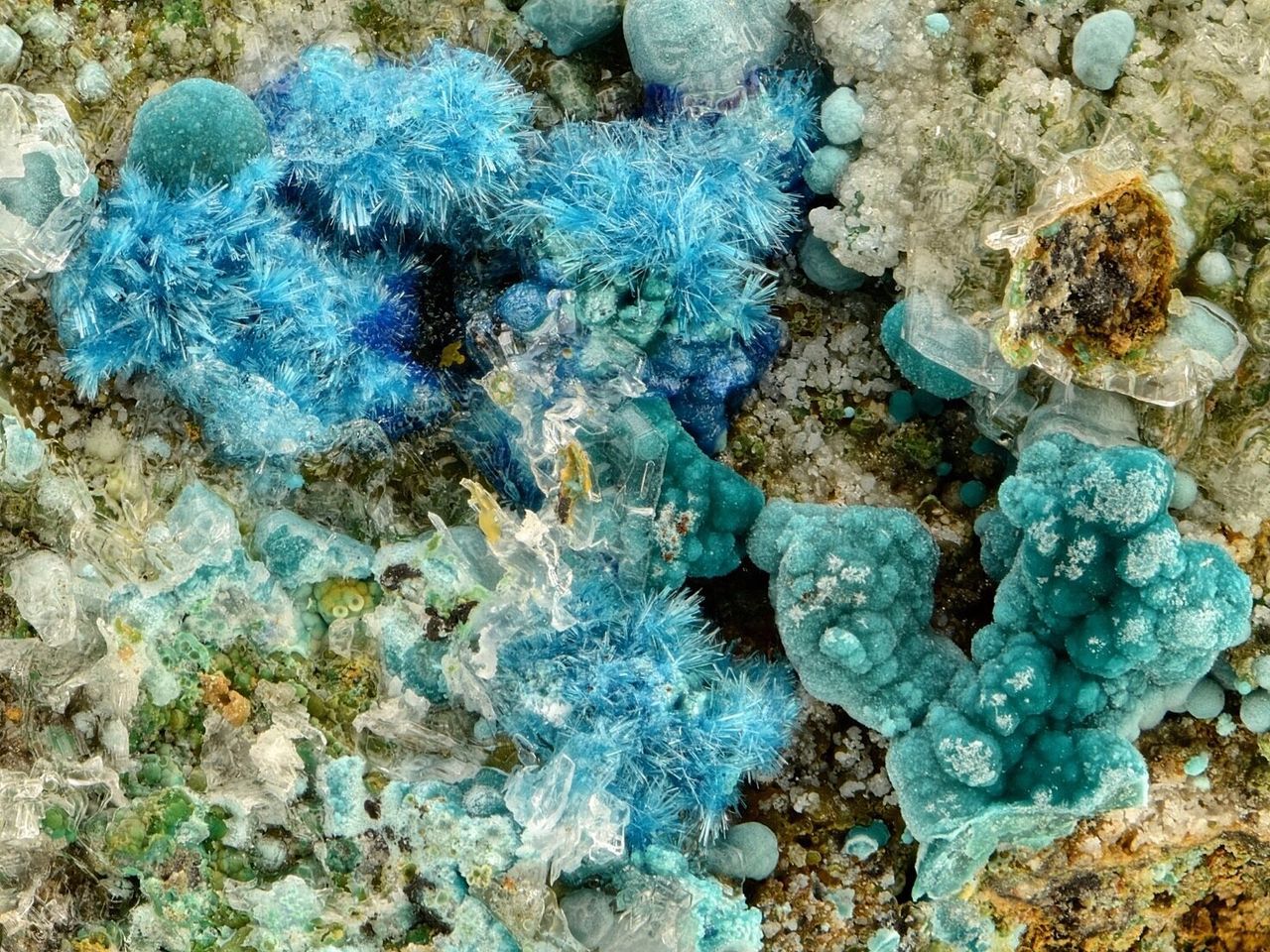 Bελόνες από γαλάζιο σερπιερίτη , μπλε αζουρίτης, πρασινωπός βοτρυοειδής ροζασίτης και διαφανείς κρύσταλλοι γύψου από το ορυχείο «Χριστιάνα». FOV: 13 mm. Φωτ. Branko Rieck.