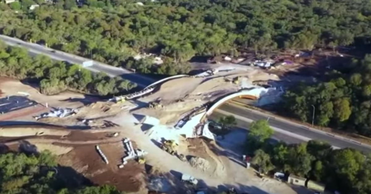 New Land Bridge Opens To Help Wildlife, People Safely Cross Texas ...