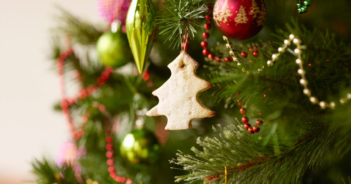 how-to-make-your-christmas-tree-last-for-as-long-as-possible-huffpost