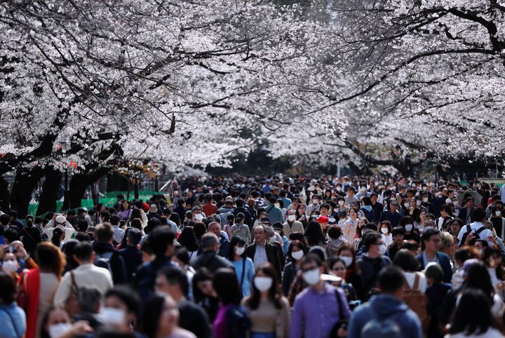 マスクを着けて桜の下を行き交う人々＝2020年3月22日、上野公園