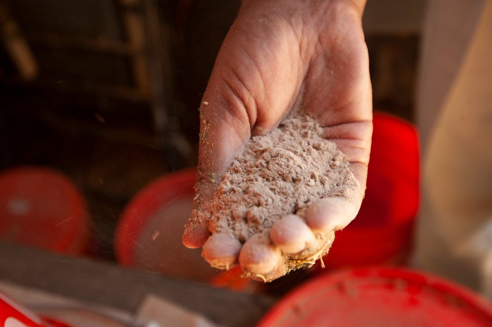 In Ermias Kebreab's research, red seaweed is pulverized, mixed with molasses and added to cattle feed to test how the supplement can reduce methane emissions from dairy cows.