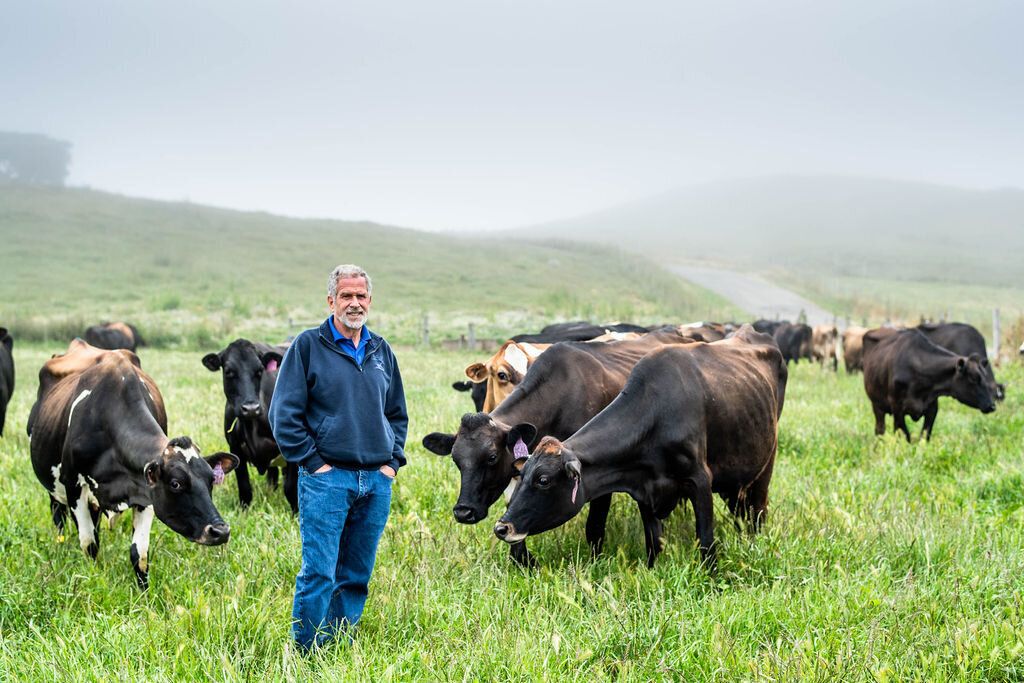 Albert Straus wants to prove the potential of red seaweed on his dairy farm.