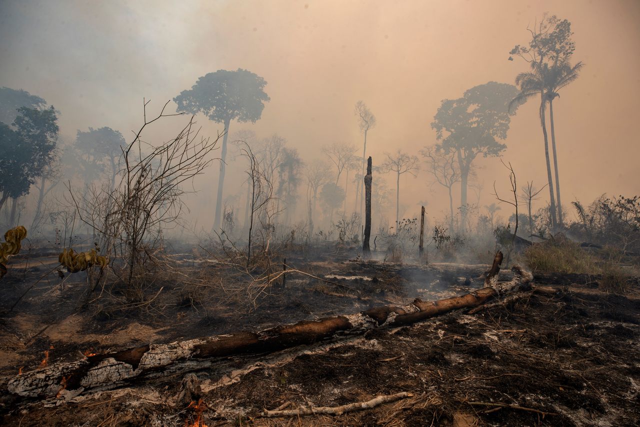 Fire consumes land deforested by cattle farmers in Para state, Brazil, on Aug. 23, 2020. 