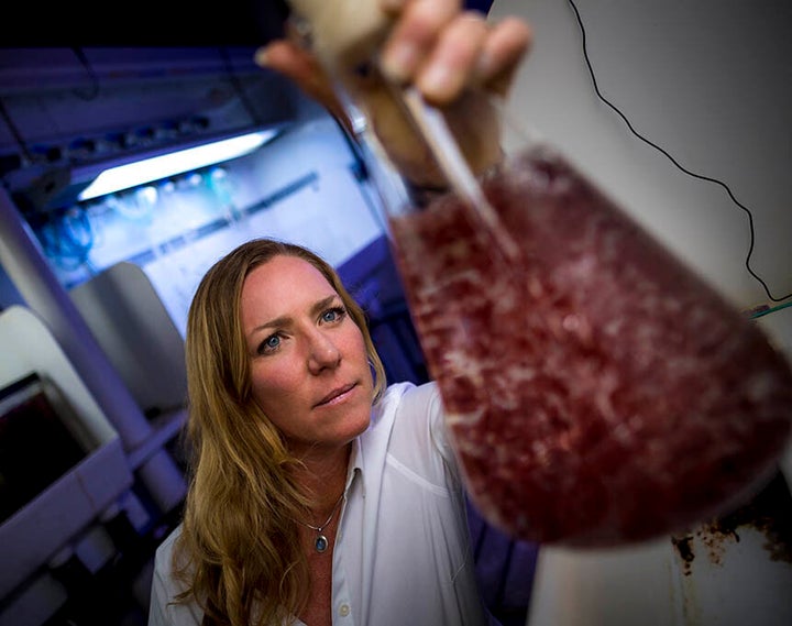 Seaweed can be used for biofuels, fertilizer, biodegradable packaging, pharmaceuticals and food -- “and the list goes on,” says University of California, San Diego, marine biology Professor Jennifer Smith.
