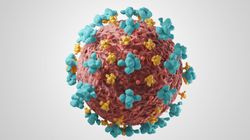 Variants du coronavirus: ce que l'on sait désormais et ce que l'on ignore