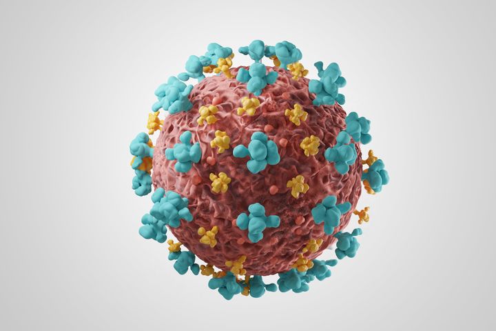 Deux variants du coronavirus avec des mutations nombreuses sont apparus quasi simultanément.