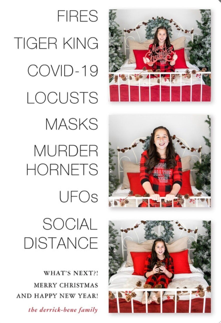 Funny Family Christmas Cards That Find The Humour In 2020  HuffPost UK