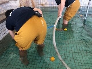 男湯を清掃するスタッフ