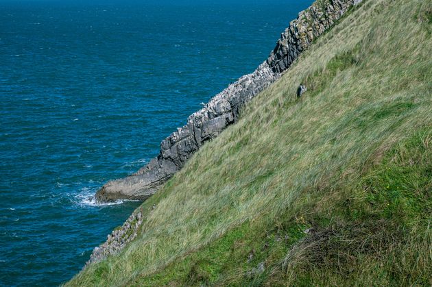 Photo taken in Rhossili, United Kingdom