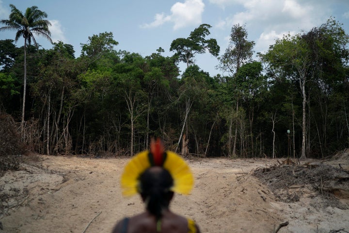 Krimej Indigenous Chief Kadjyre Kayapo, of the Kayapo Indigenous community, looks out at a path created by loggers in Altamira, Para state, Brazil on Aug. 31, 2019.