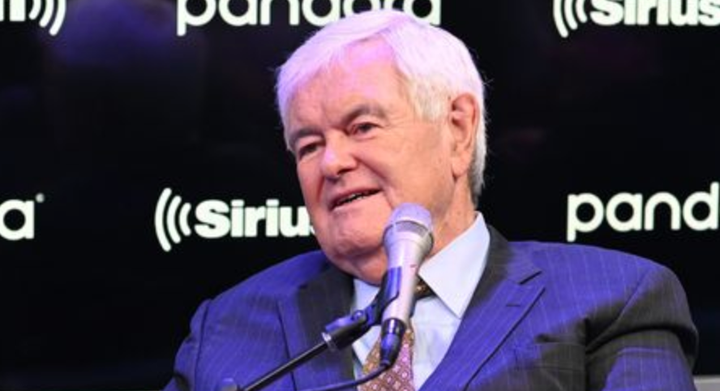 Newt Gingrich's op-ed for The Washington Examiner was a doozy.