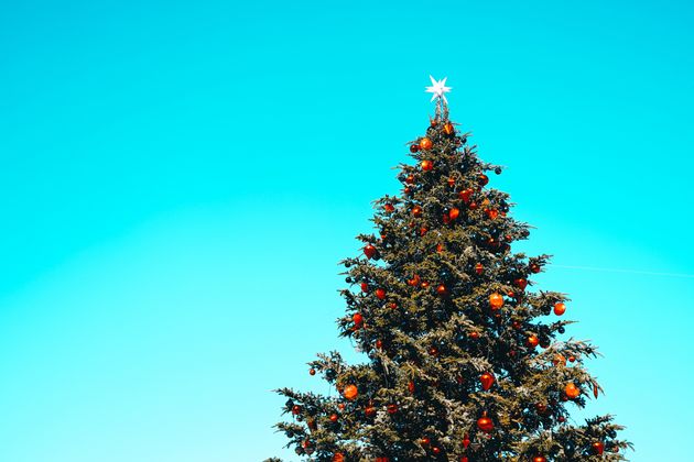 日本初のクリスマスツリー はいつ 江戸末期 1860年ごろ 説が有力 起源を探った ハフポスト
