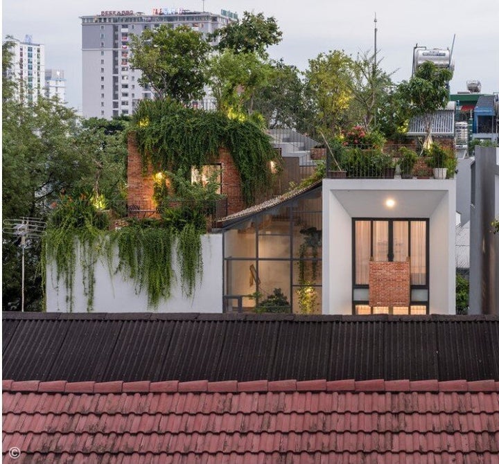 Park Roof House / MDA Architecture