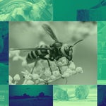 The 50 Weirdest Stories Of 2020 That Weren’t