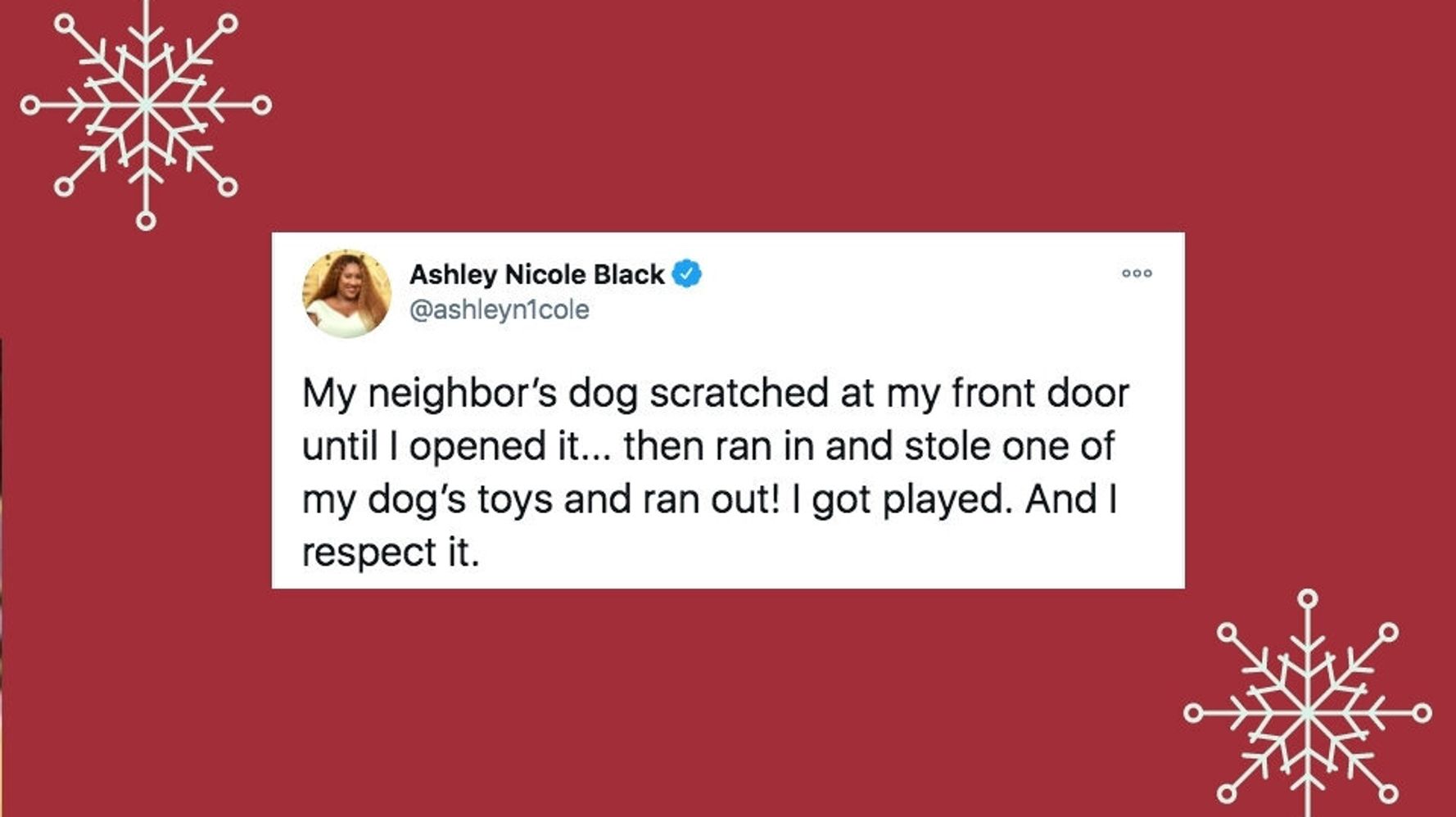 34 Of The Funniest Tweets About Cats And Dogs This Week (Dec. 19-25) | HuffPost Entertainment