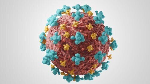 Une nouvelle souche du coronavirus disposant de diverses mutations serait apparu dans le sud-est de