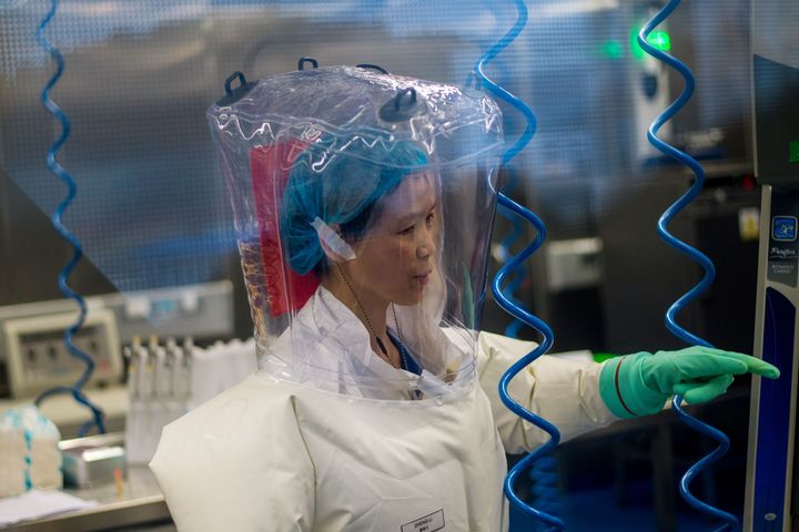 Shi Zhengli, trabajando en el laboratorio.