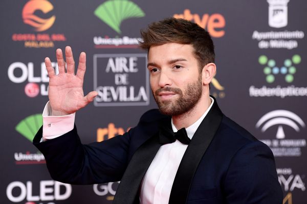 The Spanish singer-songwriter <a href="https://www.huffpost.com/entry/spanish-singer-pablo-alboran-comes-out-gay_n_5eebd478c5