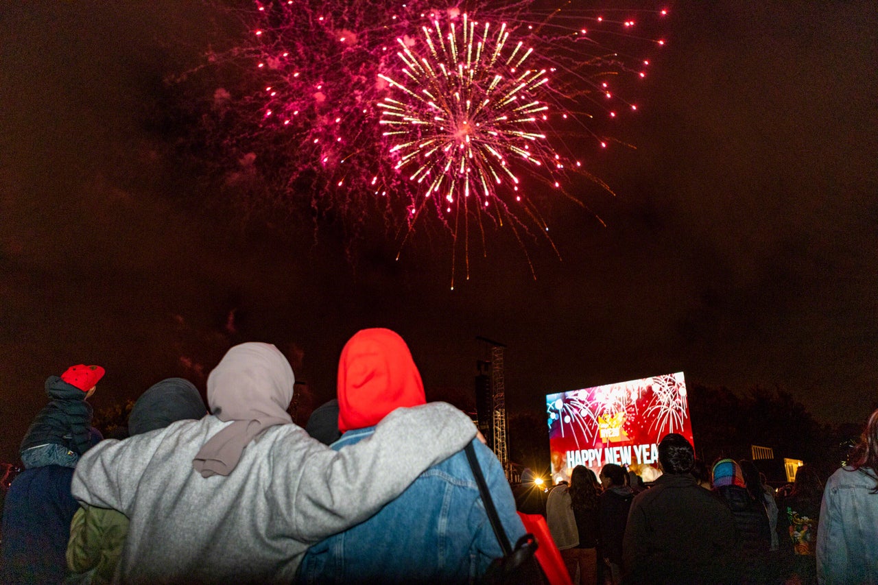 <strong>Fireworks explode over Hagley Park in Christchurch.</strong>