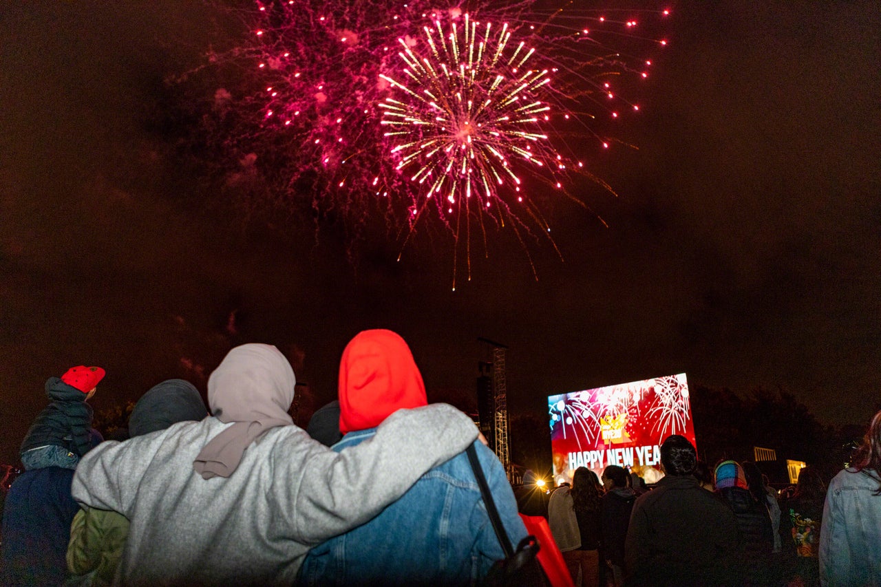 Fireworks explode over Hagley Park in Christchurch.