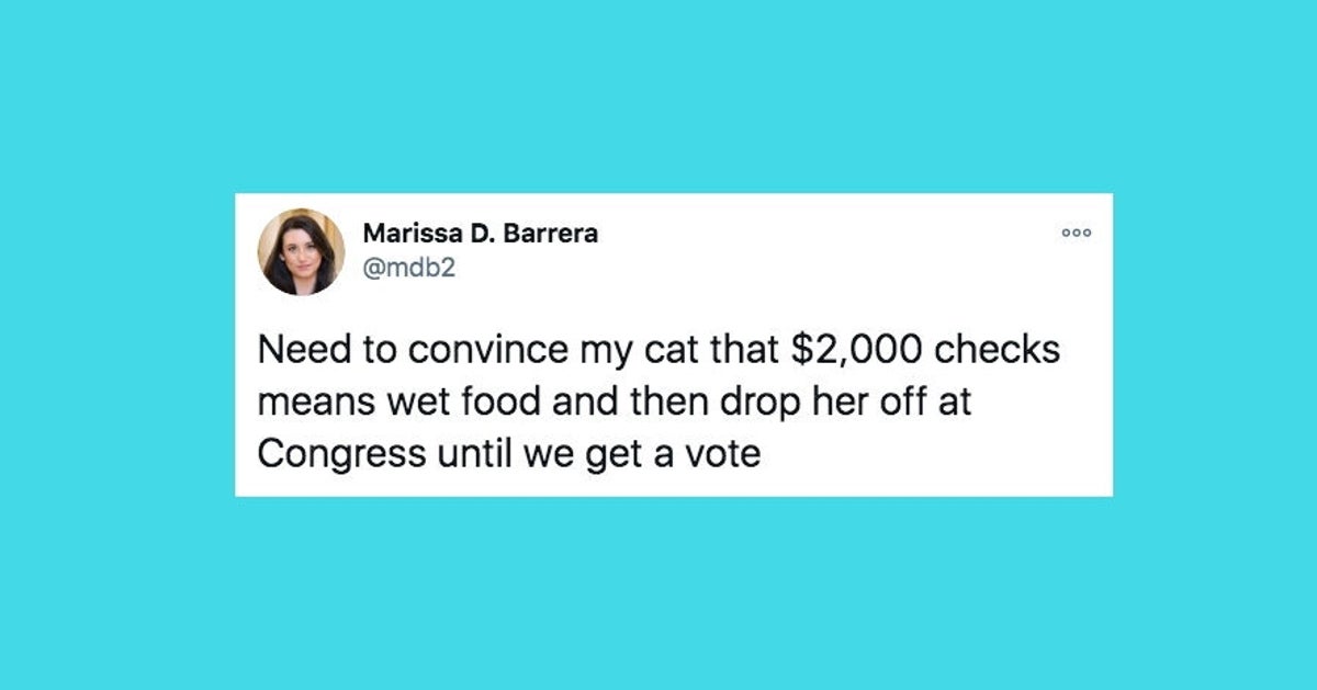 36 Of The Funniest Tweets About Cats And Dogs This Week Dec 26 Jan 1 36 of the funniest tweets about cats and dogs this week dec 26 jan 1