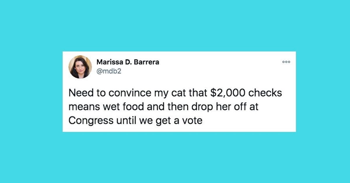 36 Of The Funniest Tweets About Cats And Dogs This Week (Dec. 26-Jan. 1) | HuffPost Entertainment