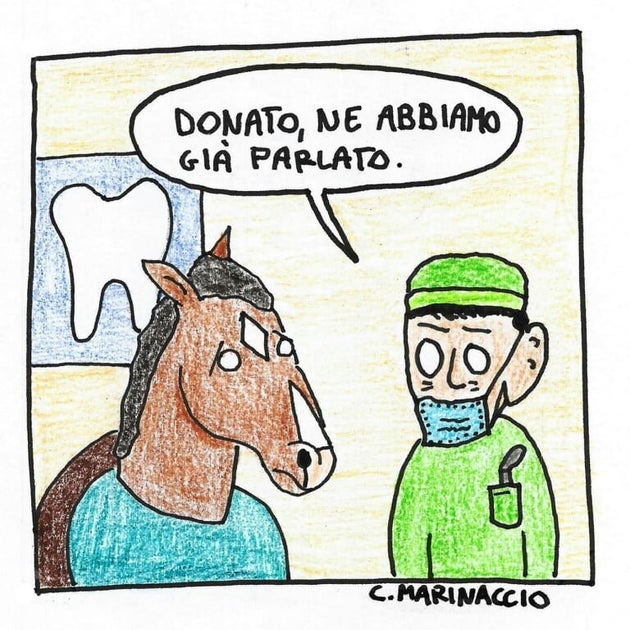 A caval donato non si guarda in bocca L'HuffPost A caval donato non si guarda in bocca L'HuffPost
