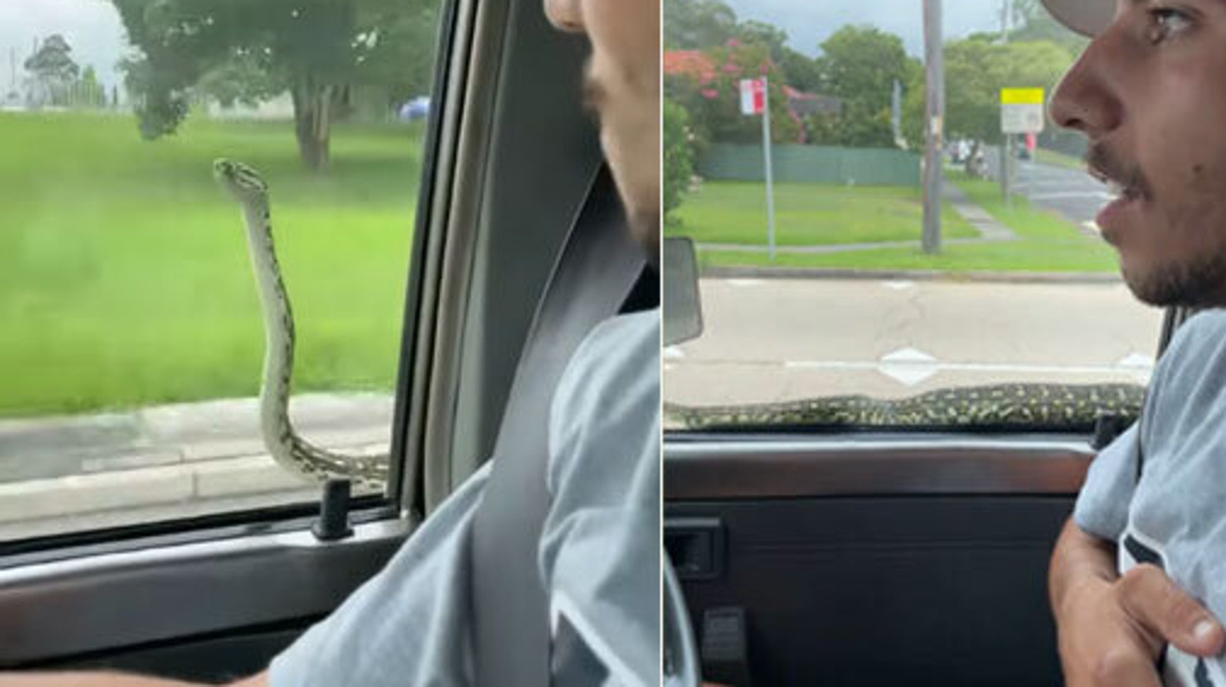 video captures snake trying to enter a