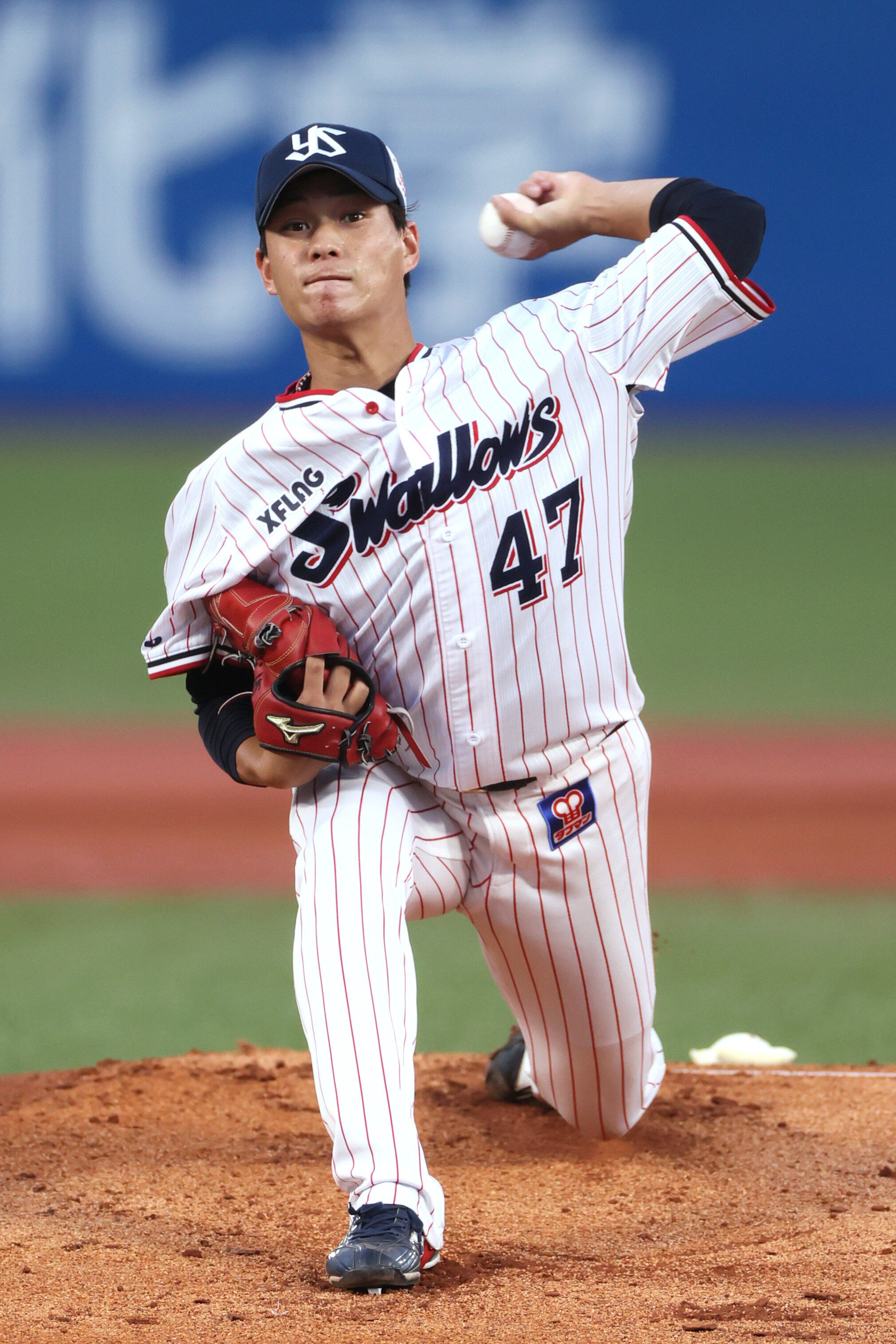 東京ヤクルトスワローズ 小川泰弘 通算100勝達成記念 クリアファイル