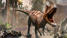 Massachusetts Lawmaker Wants To Name Official State Dinosaur 2 5ff4b80c260000fd2f0c66b1