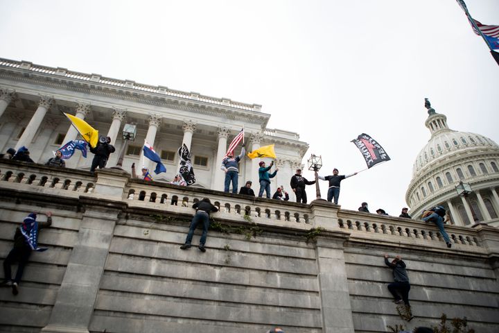 連邦議事堂の壁によじ登って旗を降る支持者らも