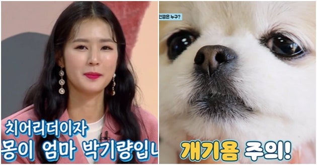 비타민엔터테인먼트 이미지