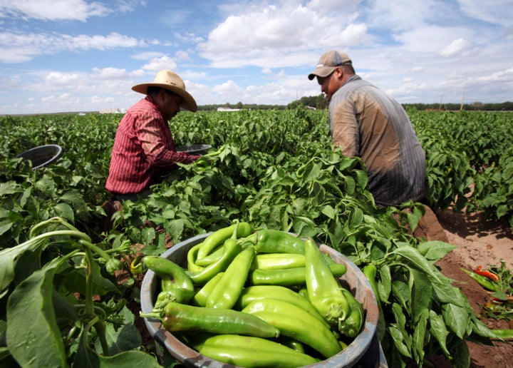 The Trump administration finalized a new rule that would lower base pay for agricultural guest workers. The Democratic Congress could overturn it. 