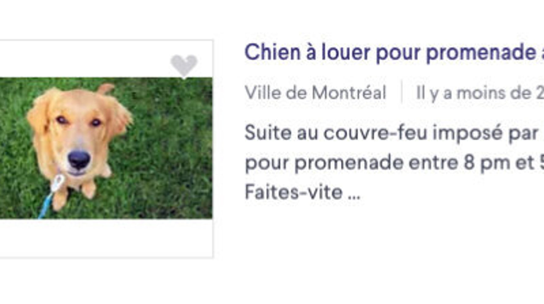 Annonce Pour Promener Des Chiens Des citoyens proposent de louer leur chien pendant le couvre-feu | HuffPost  Nouvelles