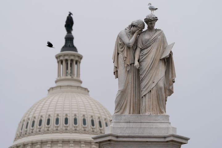 Birds fly around the Peace Monument, Friday, Jan. 8, 2021, on Capitol Hill in Washington. (AP Photo/Jacquelyn Martin)