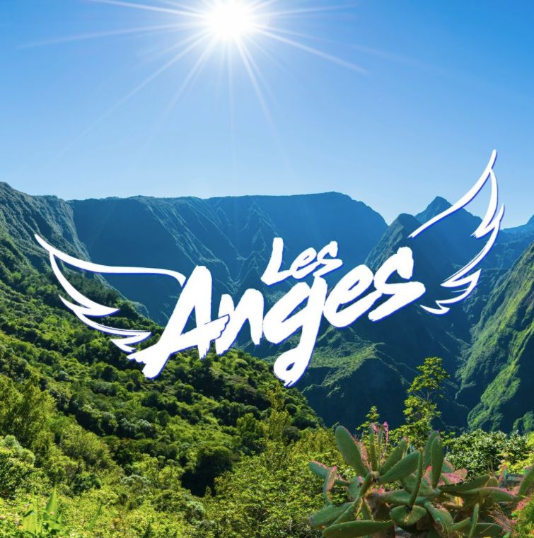 Un maire de la Réunion agressé par membres de l'émission "Les Anges"